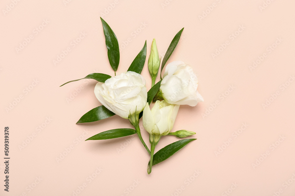 Fototapeta premium Beautiful eustoma flowers and leaves on pink background