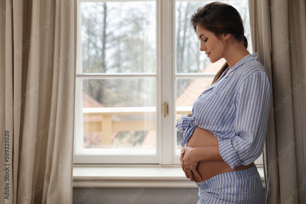 Sensual pregnant woman standing beside the window at home Sensual pregnant woman standing beside the window at home