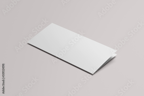 DL Bi Fold Blank Mockup