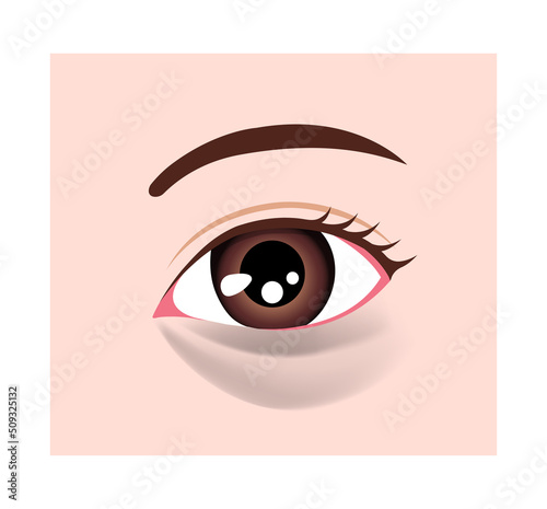 Dark circles under eyes vector illustration ( black circles )