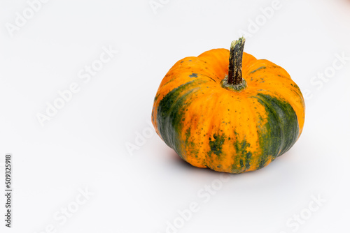 Creative Top view flat lay pumkin composition.