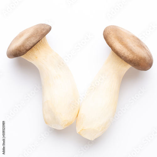 King oyster mushroom on white background.