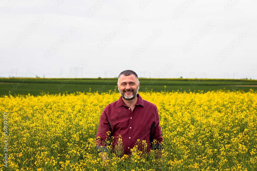 Portrait of smiling middle age farmer standing in rapeseed field examining crop. Portrait of smiling middle age farmer standing in rapeseed field examining crop.
