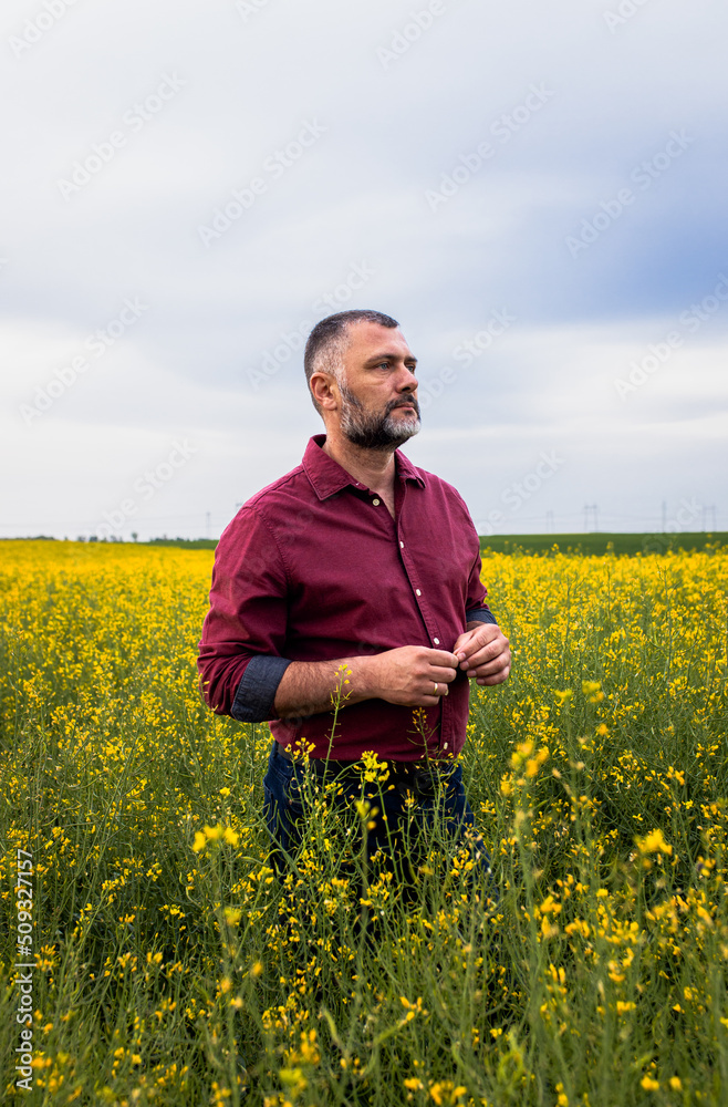 Middle age farmer standing in rapeseed field examining crop. Middle age farmer standing in rapeseed field examining crop.