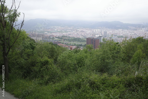 Vegetation in an urban park