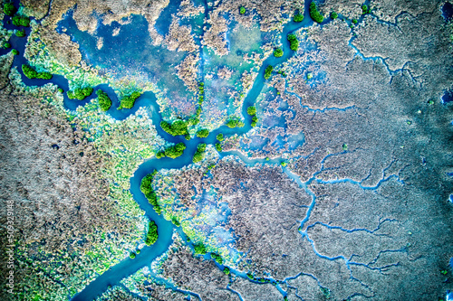 Drone view of different vegetation types and water in Lake Connewarre near Barwon Heads, Victoria, Australia. photo