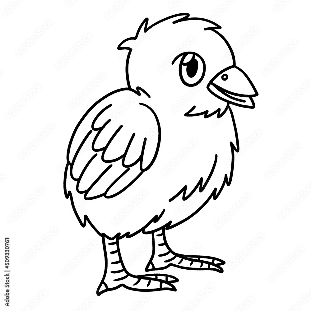 Chick Coloring Page Isolated for Kids
