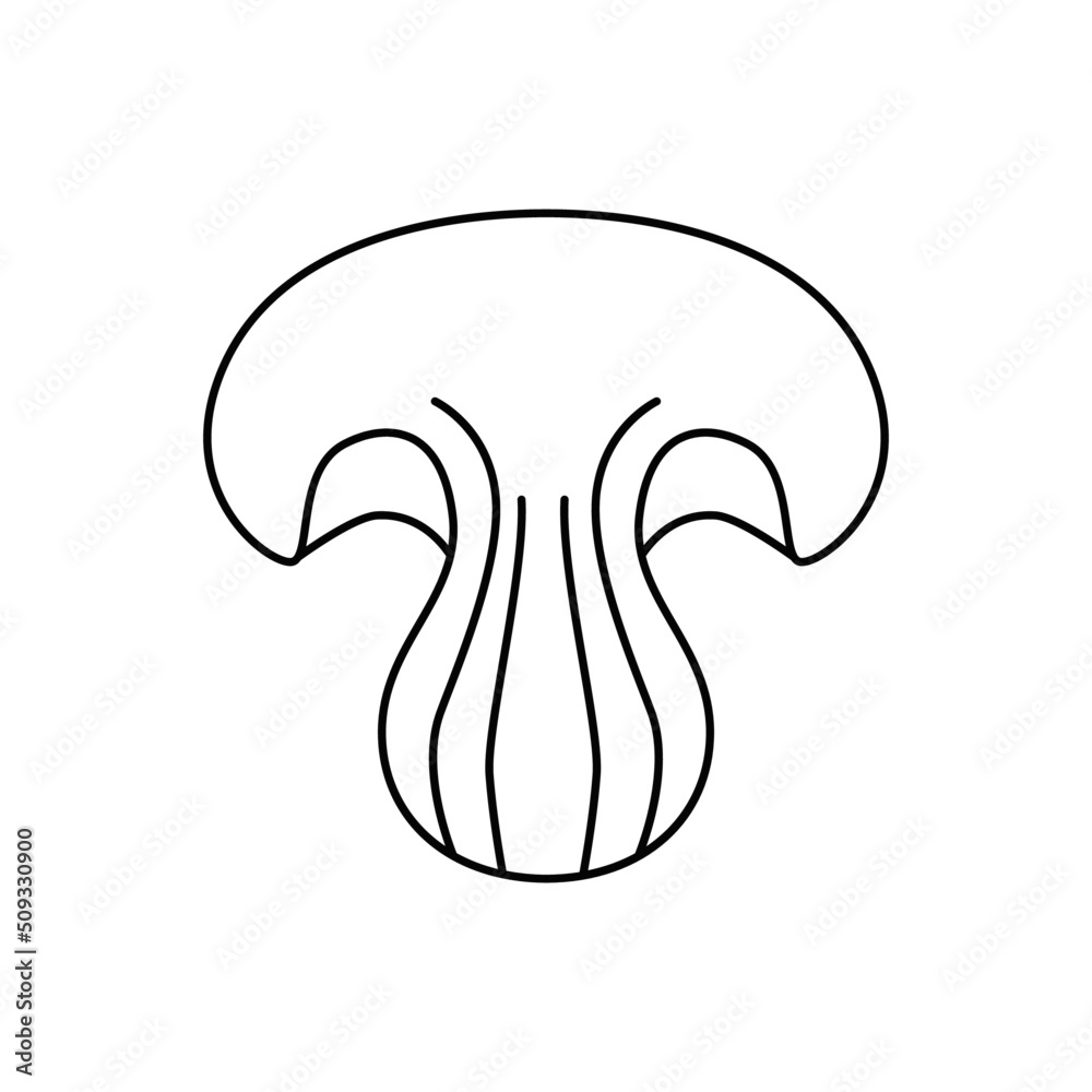 Cremini icon in line style icon, isolated on white background Cremini icon in line style icon, isolated on white background