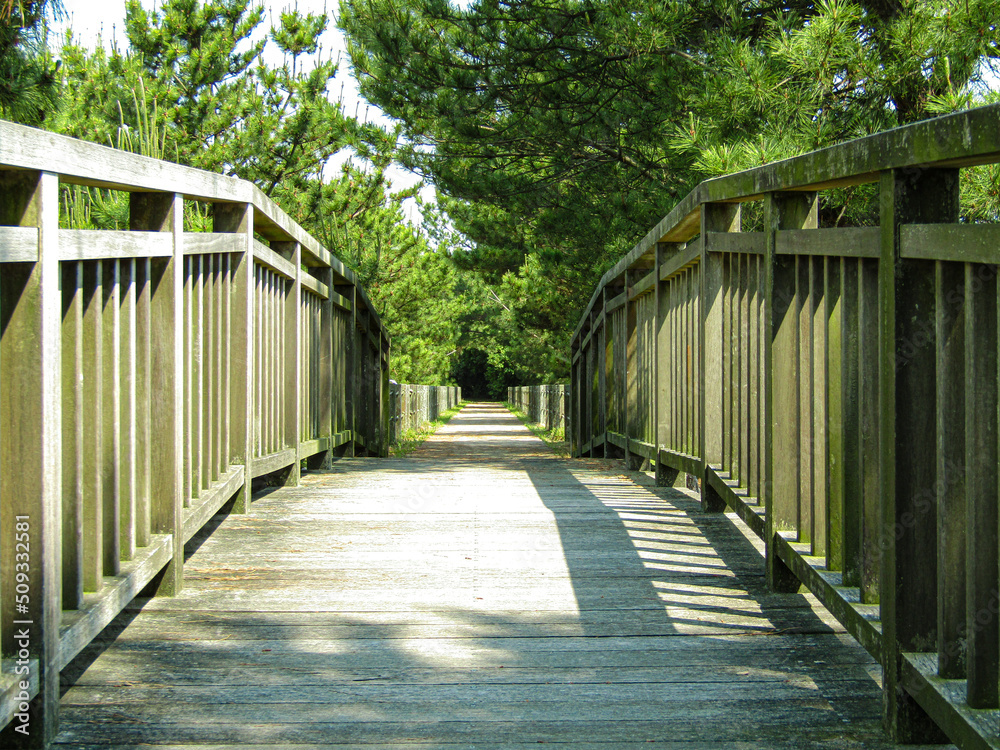 公園 橋 木造 木 建築 道