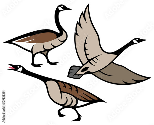 Stylized Birds - Canada Goose