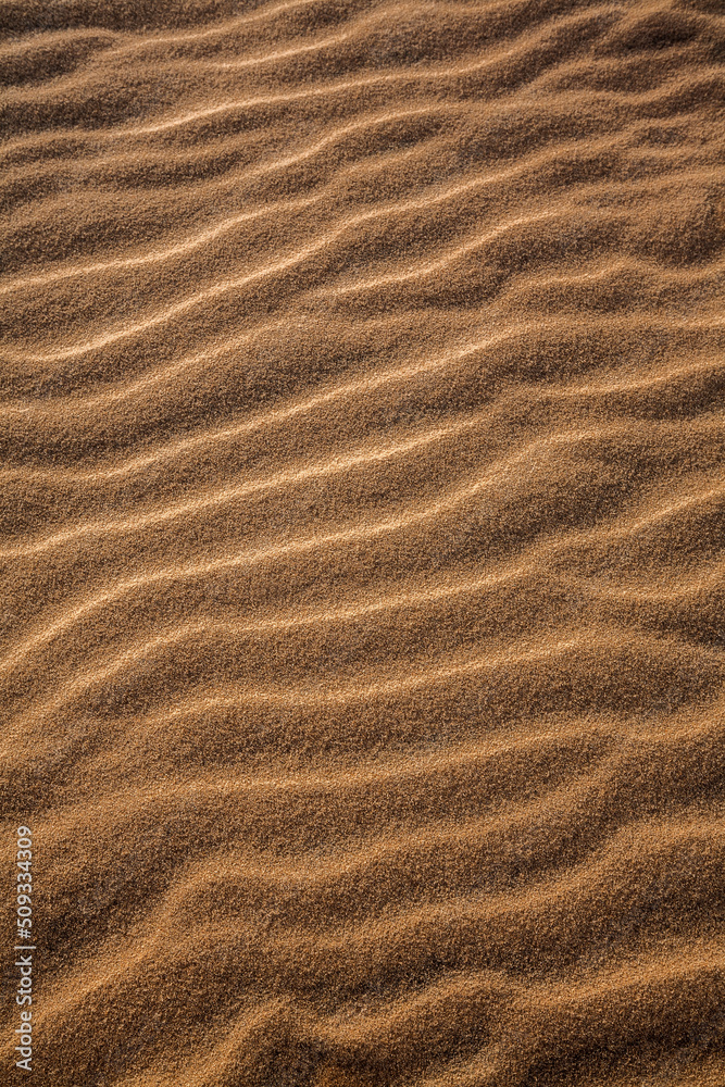 Sand ripples texture background Sand ripples texture background