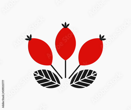 Rose hip red berry fruits on branch icon.