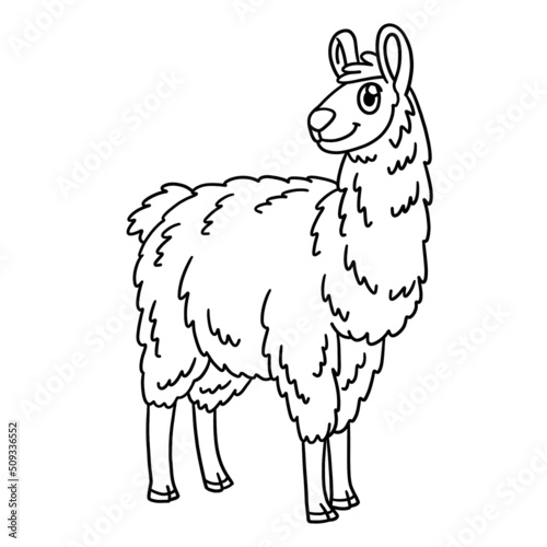 Llama Coloring Page Isolated for Kids