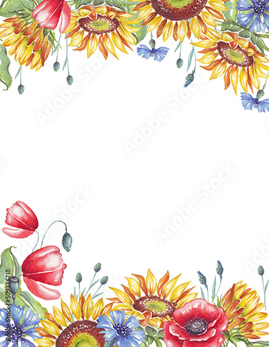 Fototapeta Naklejka Na Ścianę i Meble -  Frame. Watercolor sunflowers, cornflowers and poppies