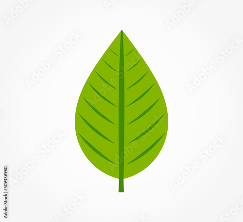 Green leaf symbol icon.
