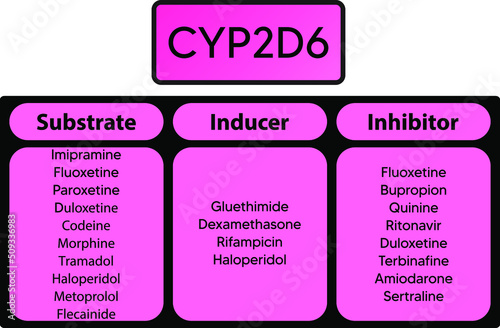CYP2D6 Cytochrome p450 enzyme pharmaceutical substrates, inhibitors and inducers examples, for pharmacology, medicine, biochemistry education. photo