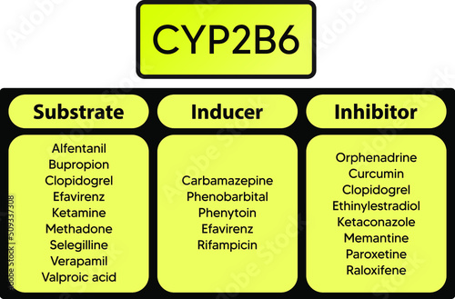 CYP2B6 Cytochrome p450 enzyme pharmaceutical substrates, inhibitors and inducers examples, for pharmacology, medicine, biochemistry education. photo