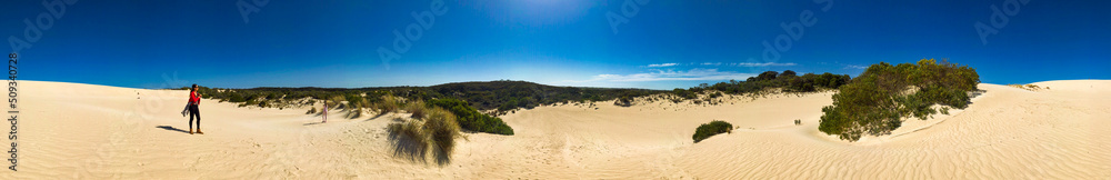 Little Sahara Desert in Kangaroo Island, Australia. Panoramic view