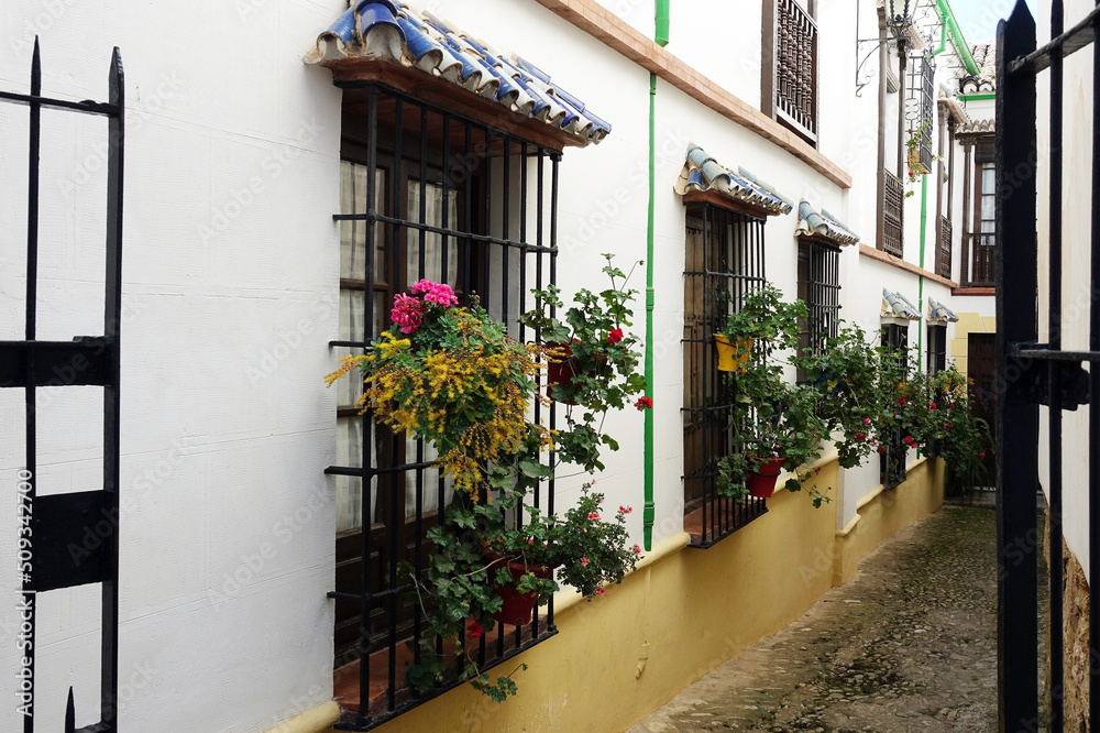 Spain. Historical houses in the mountain village Ronda