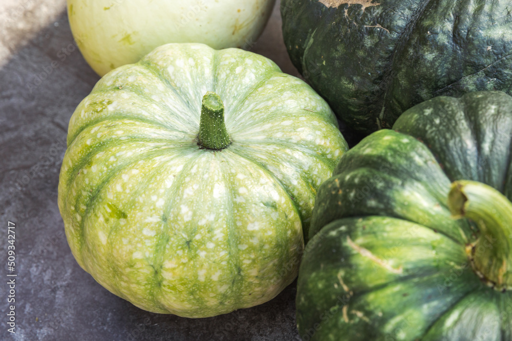 Autumnal Background. Natural autumn fall view pumpkins on dark black stone shale background. October or september wallpaper Change of seasons ripe organic food concept Halloween party Thanksgiving day Autumnal Background. Natural autumn fall view pumpkins on dark black stone shale background. October or september wallpaper Change of seasons ripe organic food concept Halloween party Thanksgiving day