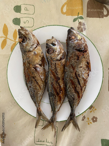 Photo of Fried Tamarong, Mackerel Scad or Matambaka on Plate Filipino Dish photo
