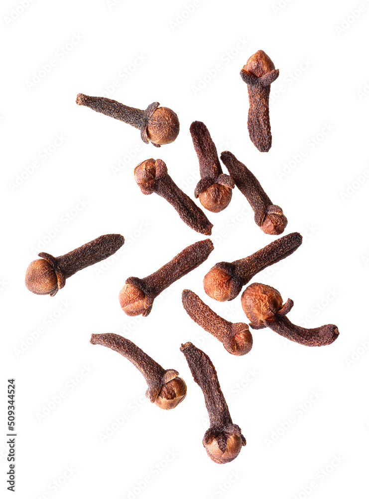 Dry cloves isolated on white background. Cloves spice. Spices and herbs. Top view. Dry cloves isolated on white background. Cloves spice. Spices and herbs. Top view.