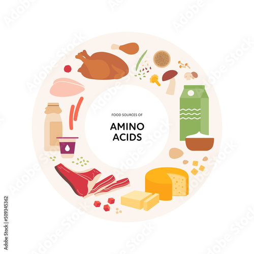 Healthy food guide concept. Vector flat illustration. Infographic of amino acids vitamin sources. Circle frame chart. Colorful dairy products, meat, cheese, egg and mushroom icon set. photo