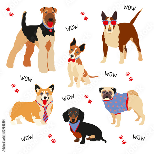 A hipster dog. The characters of domestic dogs in fashionable suits, a vector set with a tie and glasses. Vector illustration on a white background