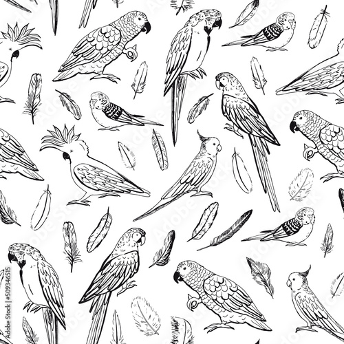 Parrot tropical bird vector line seamless pattern © GooseFrol