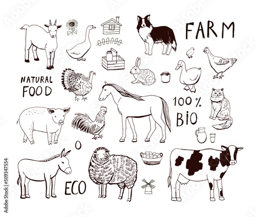 Fototapeta Naklejka Na Ścianę i Meble -  Farm animals vector illustrations line set