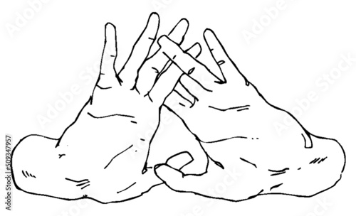 Hand drawn pen and ink study of hands - vectorised in PS 