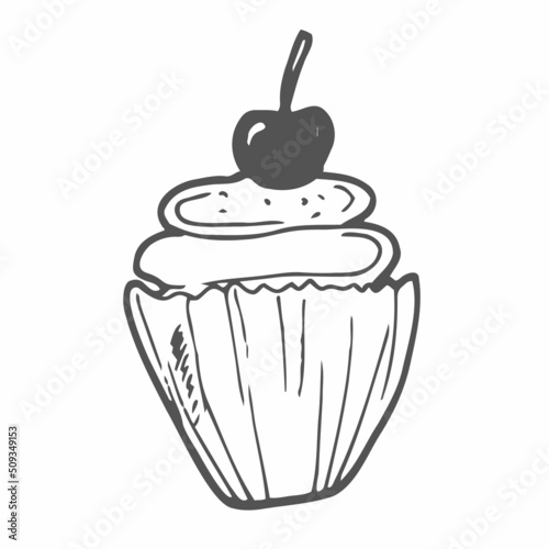 Cupcake. Muffin. Single vector doodle illustrations. Hand drawing of sweet cake