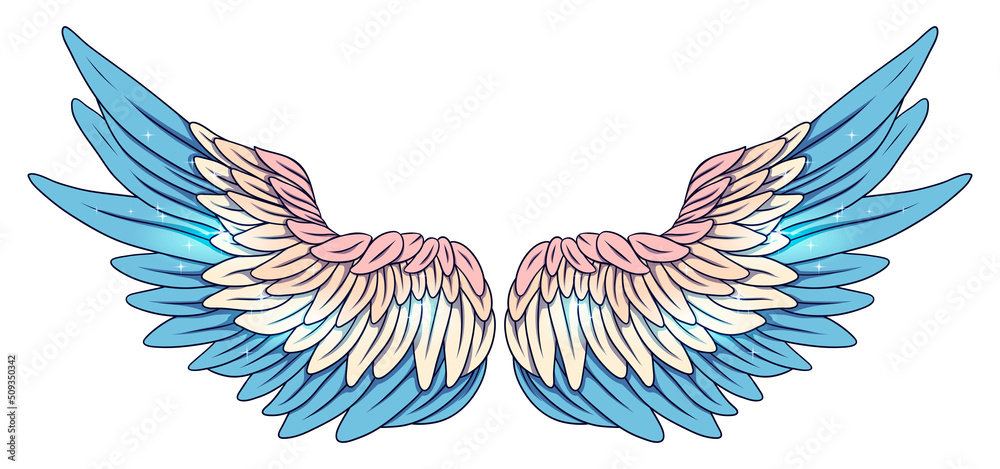 Obraz premium Beautiful magic tender blue pink angel wings, vector illustration