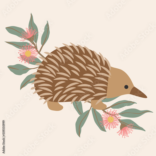 Native Exotic Australian Animals Isolated with Eucalyptus Floral Blossom Gum Leaves Echidna Hedgehog