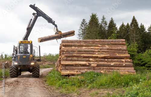 an excavator grab is putting logs on a stack of logs in a forest