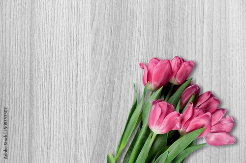 Fototapeta Naklejka Na Ścianę i Meble -  Fresh beautiful tulips flowers on a white wooden table.