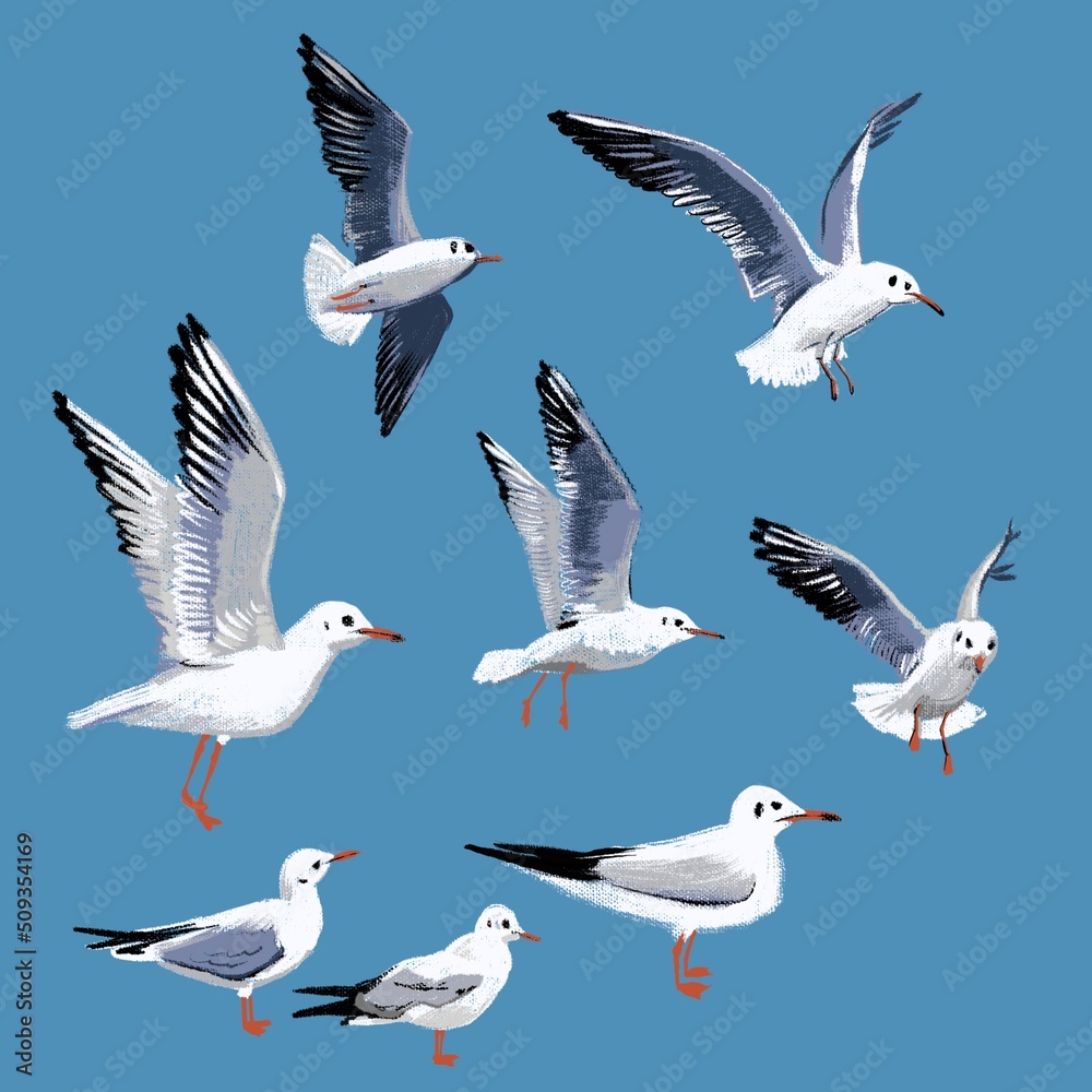 Obraz premium Print, illustration with simple graphic seagulls on a blue background