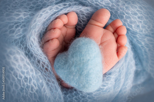 Knitted blue heart in the legs of a baby. Soft feet of a new born in a blue wool blanket. Close-up of toes  heels and feet of a newborn. Macro photography the tiny foot of a newborn baby.