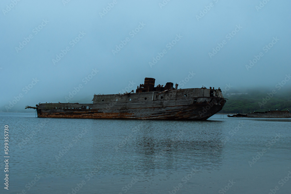 Blurred focus. Fog on the Gamow Peninsula. Blurred focus. Fog on the Gamow Peninsula.