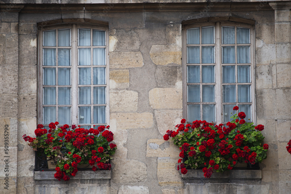 Fototapeta premium Pots with decorative flowers on the eaves outside the house under the windows - landscaping and facade decoration