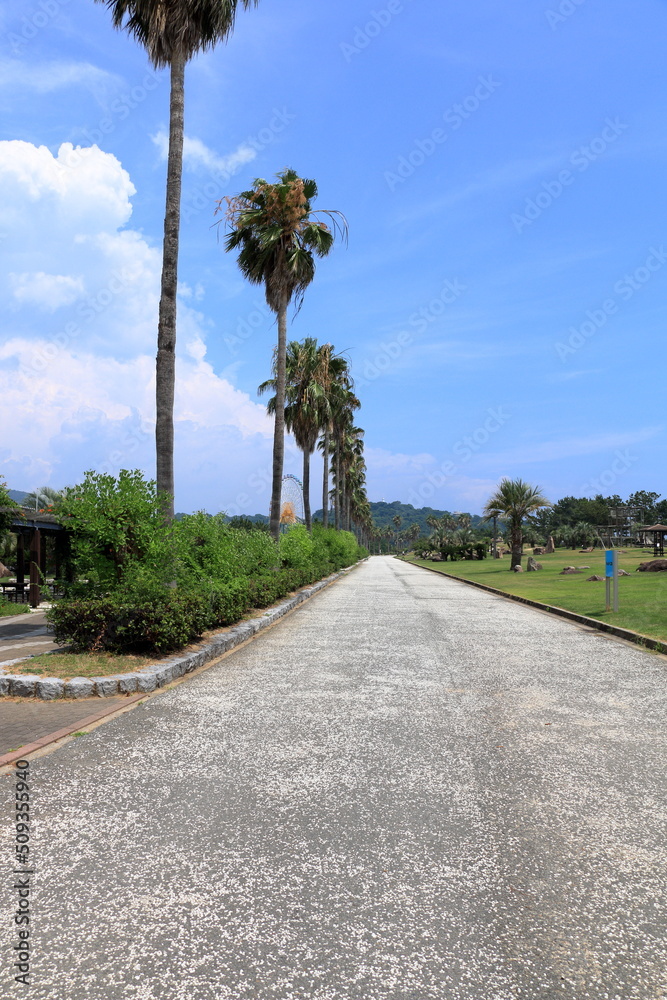 Fototapeta premium 南国の風景｜縦構図