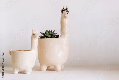 Succulent in a pot in the form of a Lama.Home gardening,urban jungle,biophilic design.Selective focus,copy space. photo