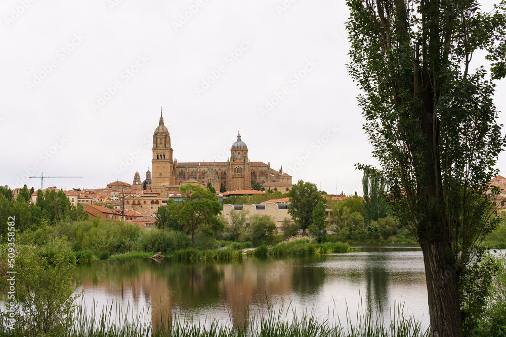 Catedral de Salamanca and Tormes river, Salamanca, Castilla y León, Spain