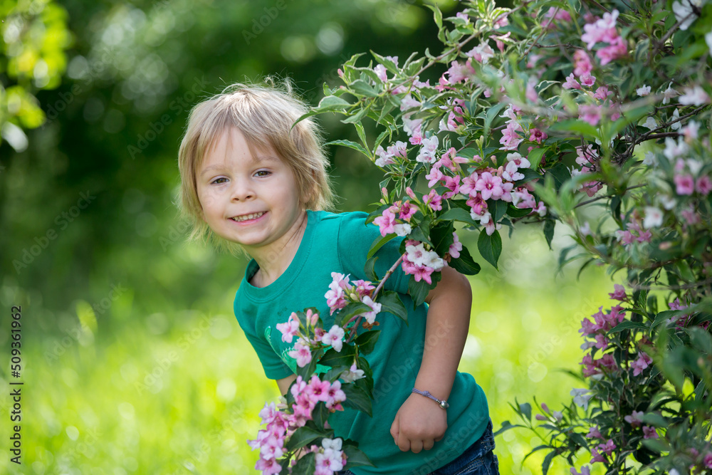 Cute little toddler child, standing next to a beautiful flower bush in spring Cute little toddler child, standing next to a beautiful flower bush in spring