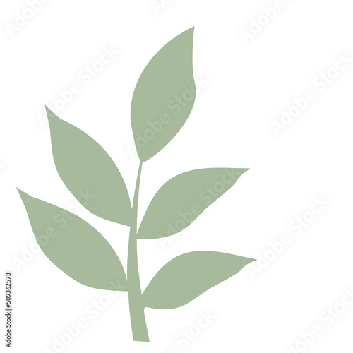 Green Leaf vector isolated on white background. Leaves in modern flat style.
