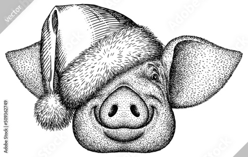 black and white engrave isolated pig vector illustration