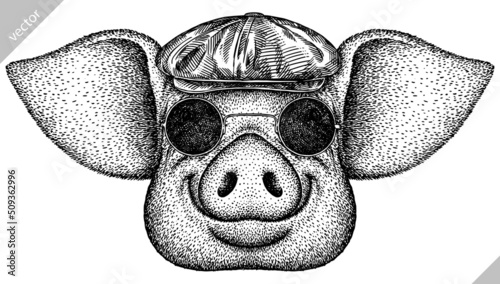 black and white engrave isolated pig vector illustration