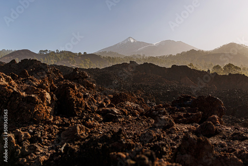 Volcanic landscape. Black rocky texture of cooled lava in Teide national park, Tenerife.