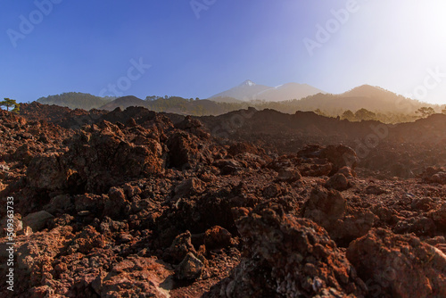 Volcanic landscape. Black rocky texture of cooled lava in Teide national park, Tenerife.