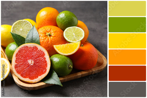 Fototapeta Naklejka Na Ścianę i Meble -  Color palette and different ripe citrus fruits on grey table. Collage